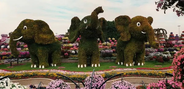 Dubai, BAE 'deki bitkilerden yapılmış Miracle Garden sanat enstalasyonları