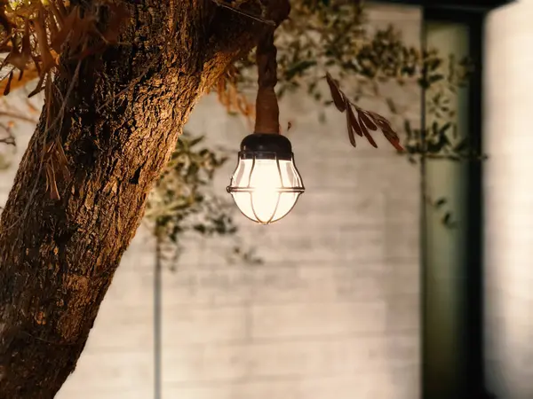 Enchanting Illumination: A Hanging Lamp Adorning a Tree