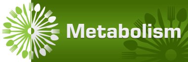 Metabolizma metni yeşil arkaplan üzerine yazılmış.