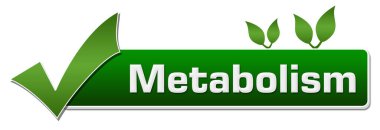 Metabolizma konsepti resmi ile metin ve ilgili semboller.