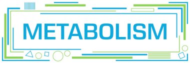 Metabolism text written over green blue background.