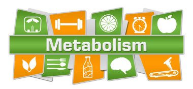 Metabolism concept image with text and health related symbols.