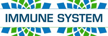 Immune system text written over green blue background.