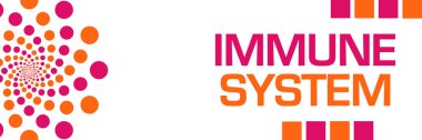 Immune system text written over pink orange background.