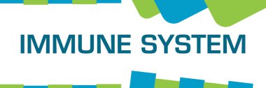 Immune system text written over green blue background.