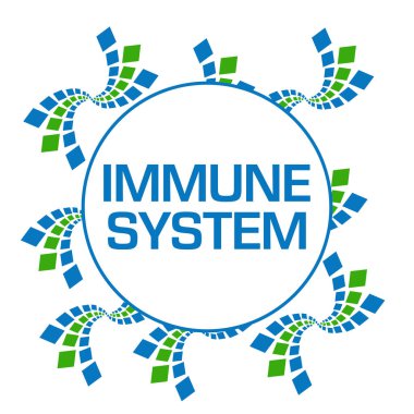 Immune system text written over green blue background.