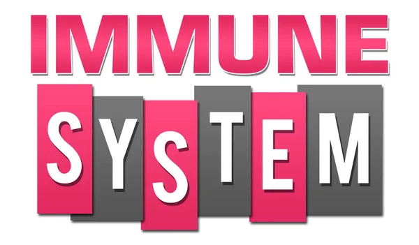 Immuunsysteem Tekst Geschreven Roze Grijze Achtergrond — Stockfoto