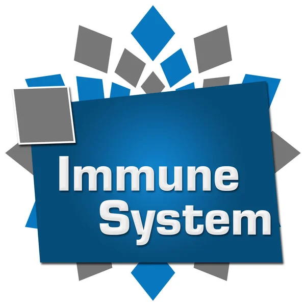Imunitní Systém Text Napsaný Přes Modré Šedé Pozadí — Stock fotografie