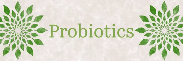 Probiotyki Obraz Koncepcyjny Tekstem Pozostawia Symbole — Zdjęcie stockowe