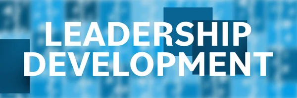 Leadership Development text written over blue background.