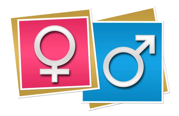 男性女性のシンボル上ピンク青の背景 — ストック写真
