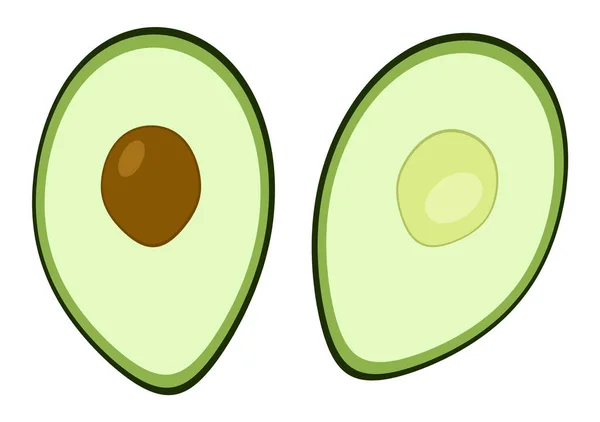 Avocado Illustration Flat Colors White Background — Stock Photo, Image