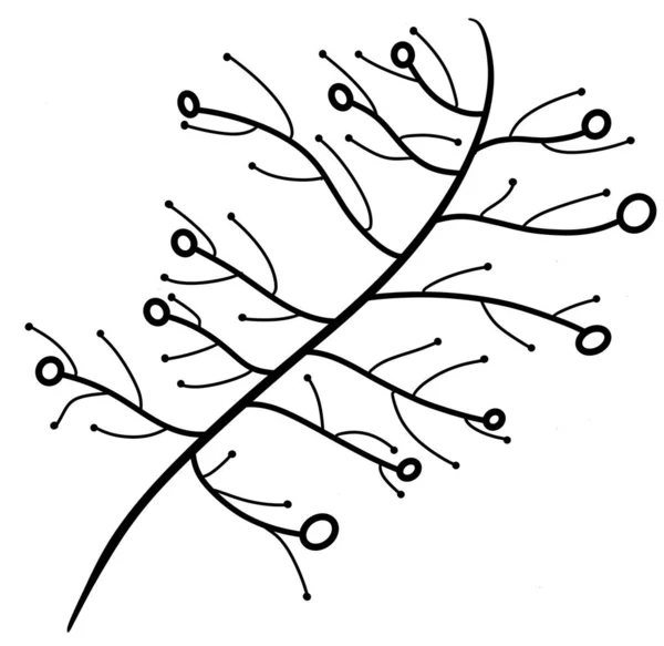 Větev Stromu Kruhy Tečkami Nad Bílým Pozadím — Stock fotografie