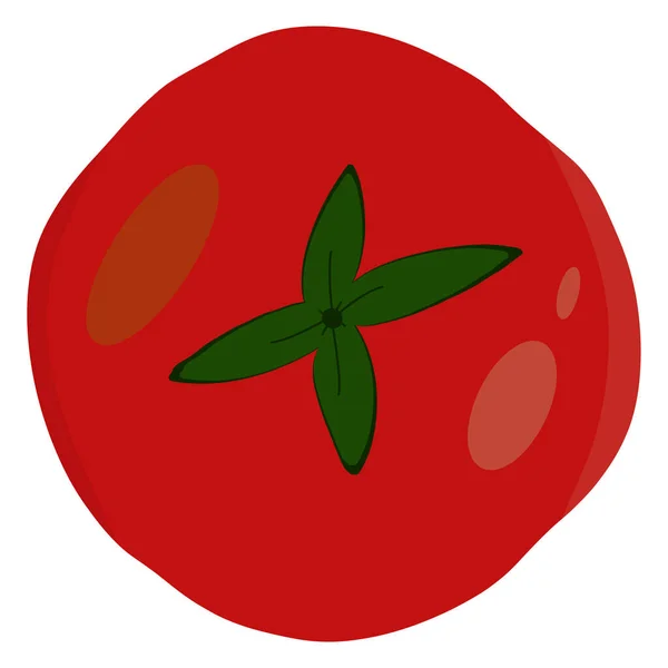 Tomate Clip Art Isoliert Über Weißem Hintergrund — Stockfoto