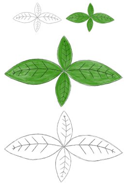 İki yeşil yaprak çizimi..