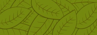 Yeşil yapraklar arkaplan dokusu deseni.