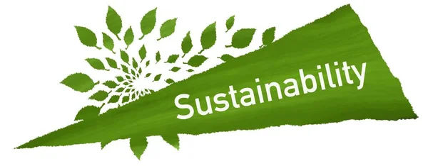 Sustainability Concept Image Text Green Leaves Symbols — Fotografia de Stock