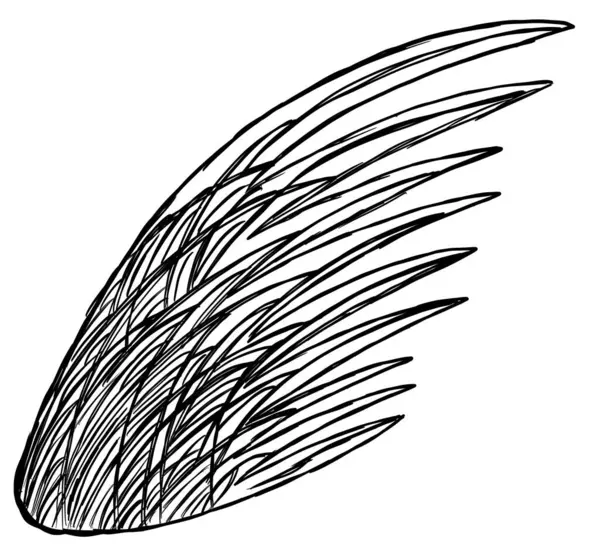 白い背景に天使の翼の孤立したイメージ — ストック写真