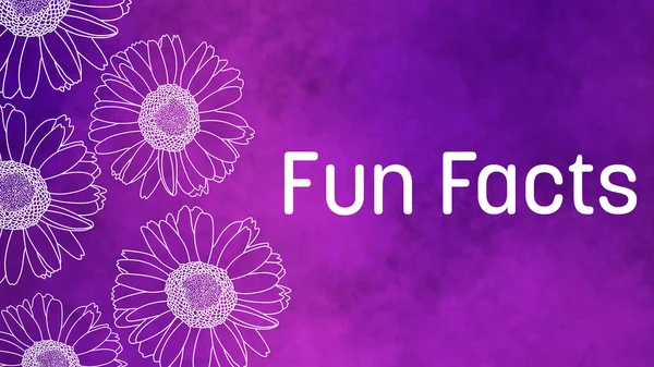 Fun Facts text written over purple floral background.