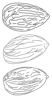 Üç adet badem eskizi..