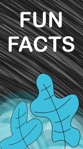 Fun Facts text written over dark background with turquoise leaves.