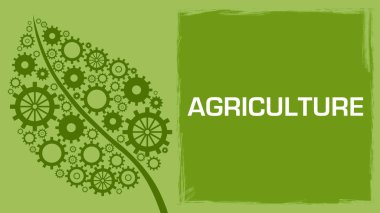 Tarım konsepti resmi metin ile ve yeşil yaprak dişli dokusu ile.