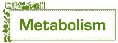 Metabolism concept image with text and health related symbols.
