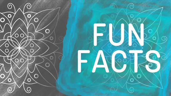 Fun Facts text written over grey turquoise background with doodle element.