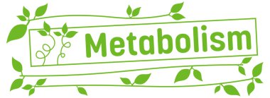 Metabolizma konsepti resmi metin ve yeşil yapraklı semboller.