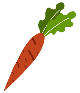 Havuç parçası beyaz arkaplan üzerinde izole.