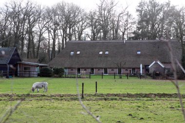 Pesse, Netherlands- January 8, 2023: View of farm from graveyard in Pesse, Netherland