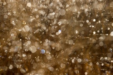 Reflections in the grass in Dwingelderveld, the Netherland