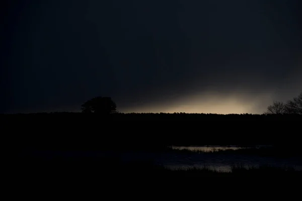 Oak Tree Light Heavy Hail Storm Clouds Dwingelderveld Netherland — Stock Photo, Image