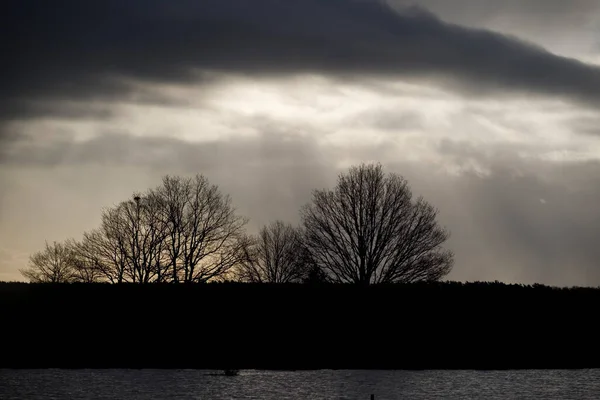 Carvalho Leve Com Nuvens Granizo Dwingelderveld Países Baixos — Fotografia de Stock