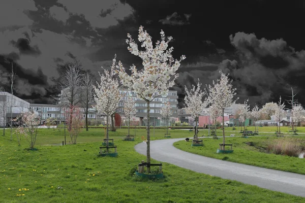 2023年4月12日 オランダ フーゲヴェンの公園ドイングランドの超現実的な景色 — ストック写真