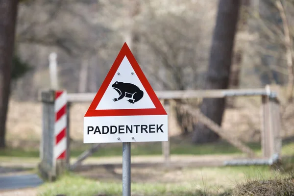 Nationalpark Hoge Veluwe April 2023 Warnschild Krötenwanderung Niederlande — Stockfoto