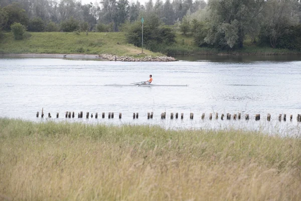 Wageningen Hollanda Haziran 2023 Wageningen Hollanda Ren Nehrinde Kürek Çekmek — Stok fotoğraf