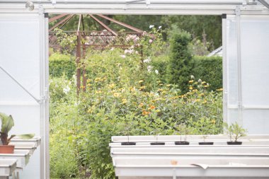 Ruinen, Hollanda - 27 Haziran 2023: Ruinen, Hollanda 'daki bahçede sera