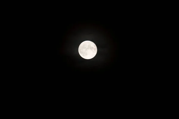 Full Moon Dwingelderveld Netherlands — стоковое фото