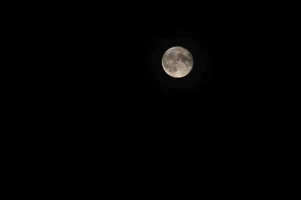 Full Moon Dwingelderveld Netherland — Stock Photo, Image
