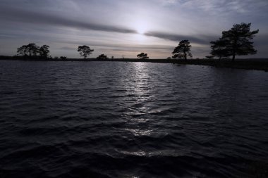 Hollanda, Dwingelderveld 'de gün batımı