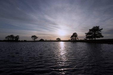 Hollanda, Dwingelderveld 'de gün batımı