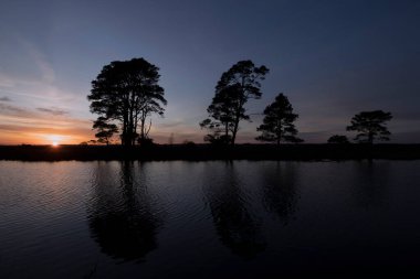 Hollanda, Dwingelderveld 'de gün batımı