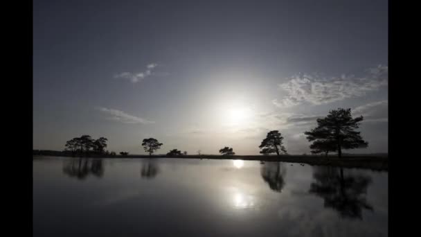 Západ Slunce Přírodní Rezervaci Dwingelderveld Nizozemsko — Stock video