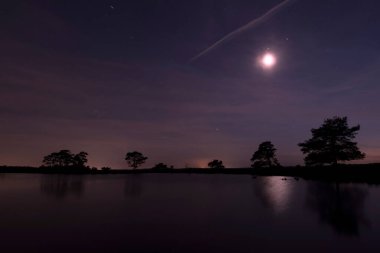 Hollanda, Dwingelderveld 'in üstündeki yıldızlı gökyüzü