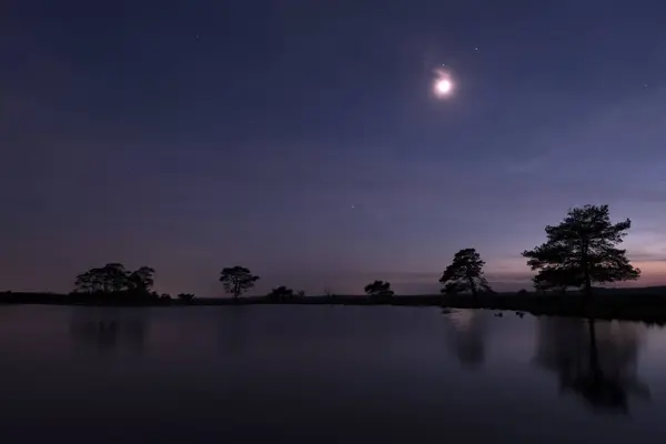 stock image Starry sky above the Dwingelderveld, Netherland