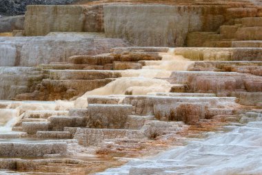 Yellowstone, ABD 'deki Mamut Kaplıcaları