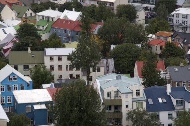 İzlanda Operası 'nın iskeleti Reykjavk, İzlanda