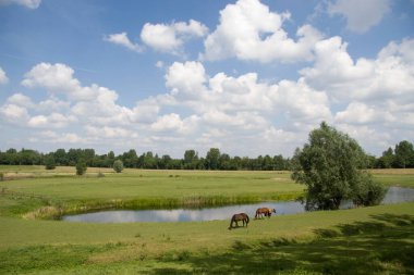 Hollanda, Arnhem 'deki Elden Kalesi' nin at nalı şeklinde hendeği.