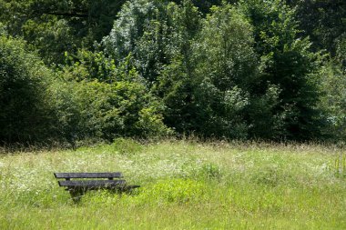 Hollanda, Arnhem 'deki Presikhaaf parkındaki ahşap bank.